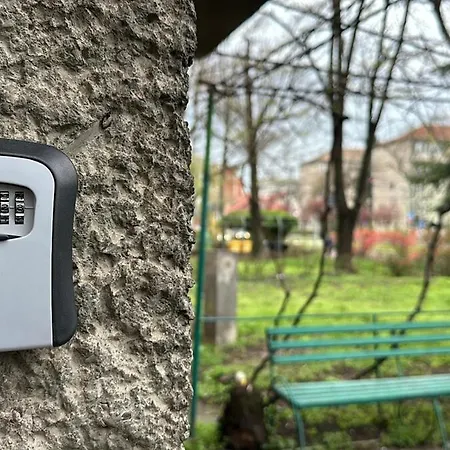 Mainstreet Freeparking * Timisoara