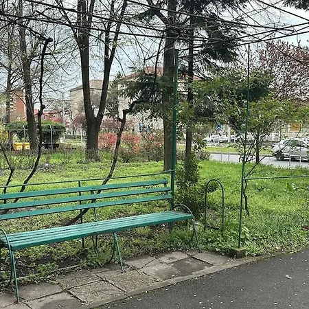 Mainstreet Freeparking